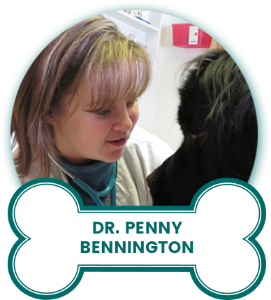 Dr. Penny Bennington